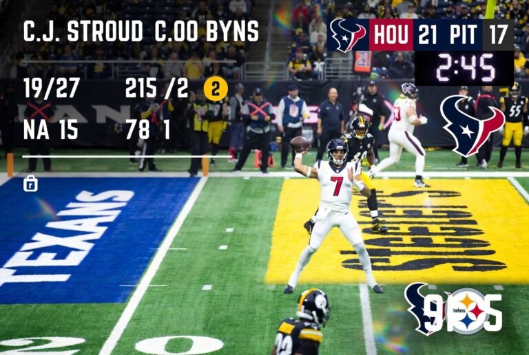 Texans vs Pittsburgh Steelers Match Player Stats